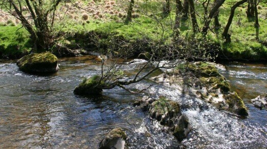 Tree on a rock. Trees get a hold on most things and this one is growing on a rock in the middle of a river at Gamallt, in the foreground you can see the scooped out rock 1294091