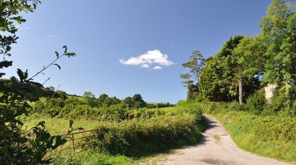 Lane adjacent to the Egerton Grey Country House Hotel - Porthkerry