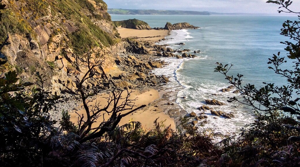 "Limitless and immortal, the waters are the beginning and end of all things on earth."
— Heinrich Zimmer, Historian
And within its composition is the great element hydrogen who played together with helium for aeons until hydrogen made the bold decision to make some light in the darkness of the universe. And, voilà, stars, the mothers of the universe, were born.
Light and water...throw in some elemental dust from a supernova and you have the ingredients for an organic chemistry party. I hope against hope that it is just getting started.
#hiking
http://sciencelearn.org.nz/Contexts/Just-Elemental/Science-Ideas-and-Concepts/How-elements-are-formed