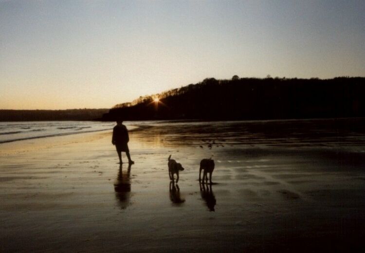Wiseman's Bridge Beach at Sunset