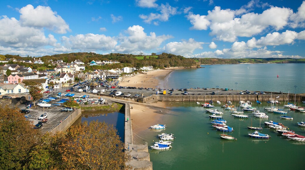 Saudersfoot Harbour and Village, Pembrokeshire, Wales, UK, Shutterstock ID 619250594, Purchase Order: -