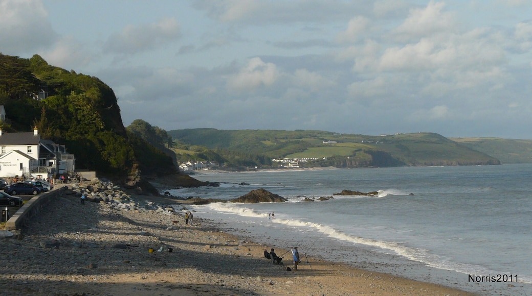 The bay at Wisemans Bridge.