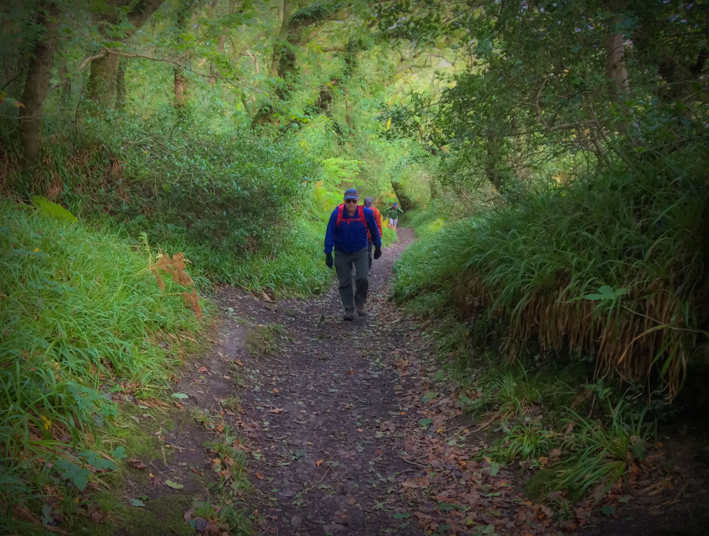 It's easier to go down a hill than up it but the view is much better at the top.
Henry Ward Beecher

I haven't a clue how many times I have had to climb a hill, but I don't ever remember thinking: "Wow!, This is the most fun I've had in a long time!".  Yet, there is a pleasure in the notion, that at some point, it will be over and the thrill of having done it will fill your body.
#hiking