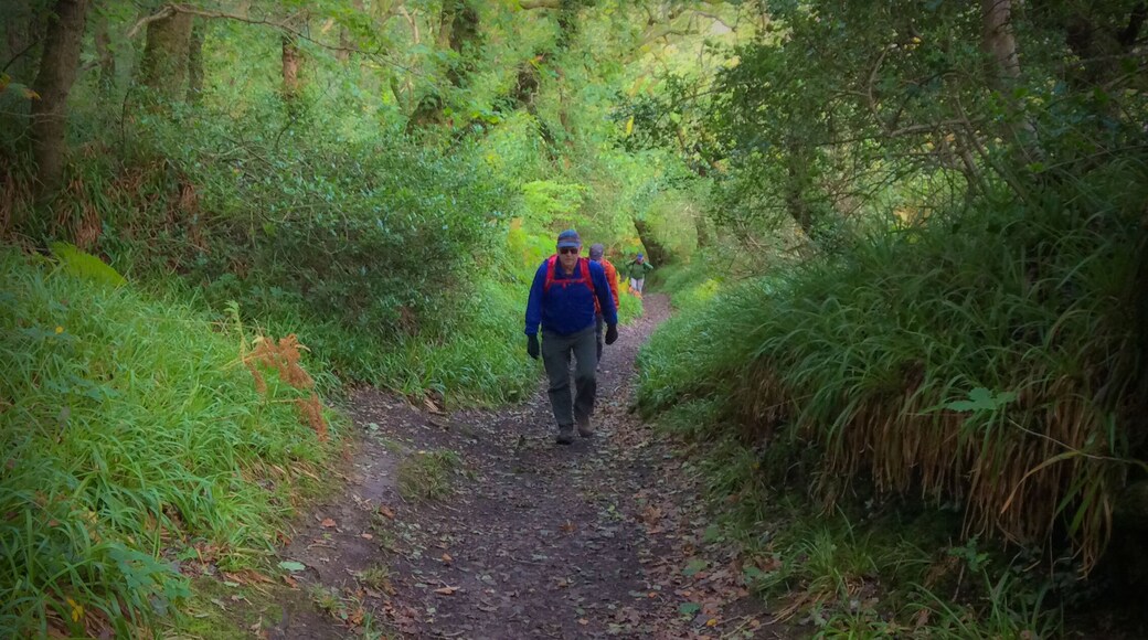 It's easier to go down a hill than up it but the view is much better at the top.
Henry Ward Beecher
I haven't a clue how many times I have had to climb a hill, but I don't ever remember thinking: "Wow!, This is the most fun I've had in a long time!". Yet, there is a pleasure in the notion, that at some point, it will be over and the thrill of having done it will fill your body.
#hiking