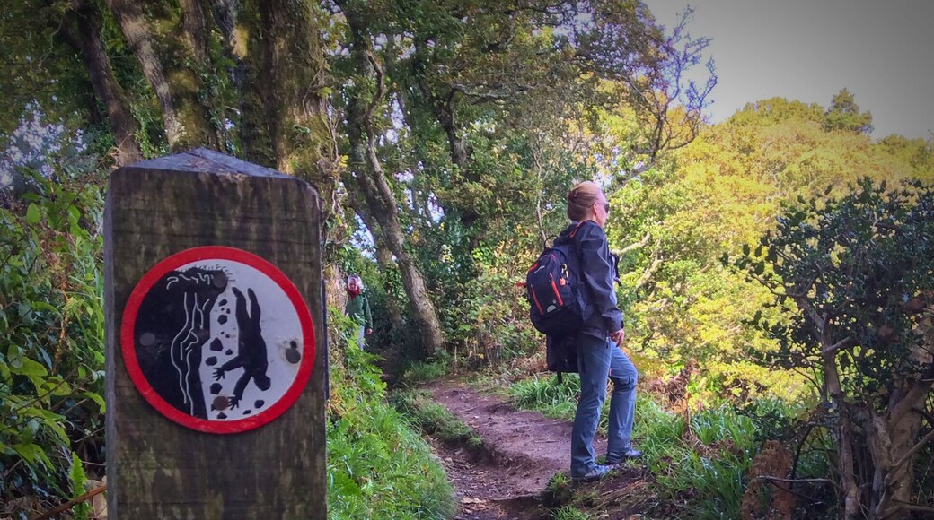 Vertigo is the conflict between the fear of falling and the desire to fall.
Salman Rushdie
My sister, pictured here, probably isn't experiencing this conflict. She, like my oldest brother, is extremely well grounded and one of those people in full control of their surroundings.
I am more like the guy pictured in the sign.
#hiking