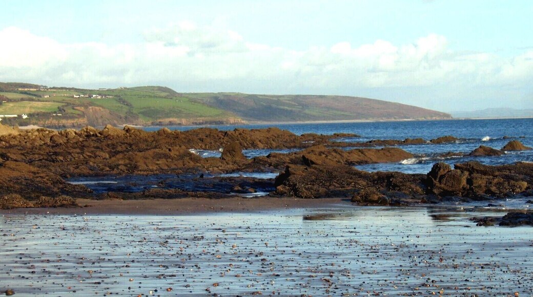 Wiseman's Bridge Beach