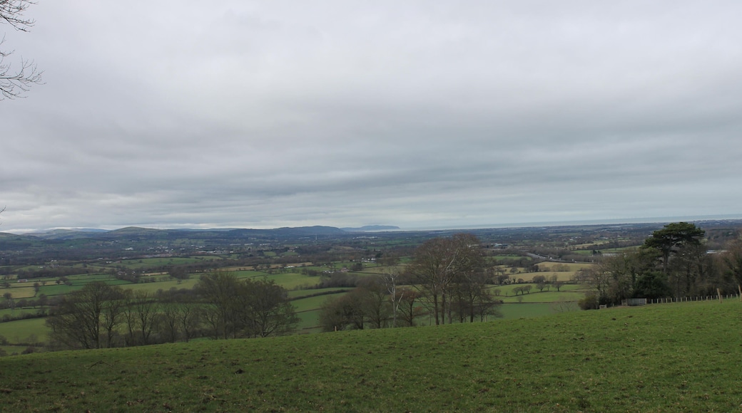Church of Corpus Christi, St Beuno's colege, Denbighshire, Wales. Grade II*.