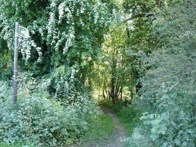 Bridleway. Bridleway leading down into the woods near to Bryngwyn Hall.