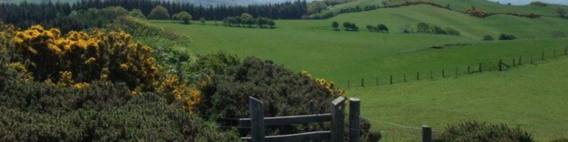 View south from Cefn Du On Offa's Dyke Path, looking back at the route we have taken over the Clwydian Range