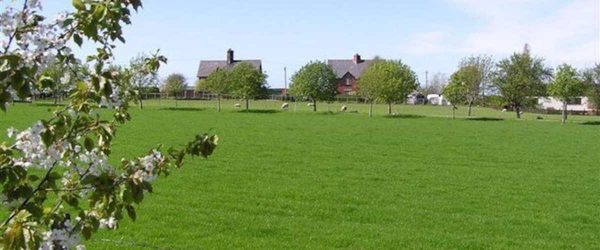 A green field with a wooden fence, trees, and a building in the background.