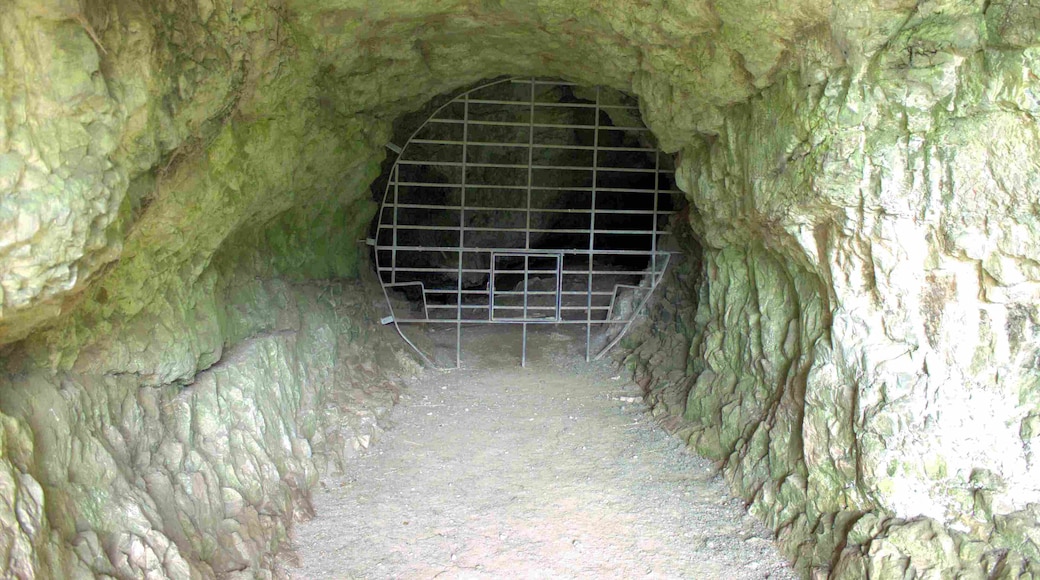 Ffynnon Beuno Cave, Denbighshire, Wales. SJ085085 (308544, 372430) LL17 0UR Cadw