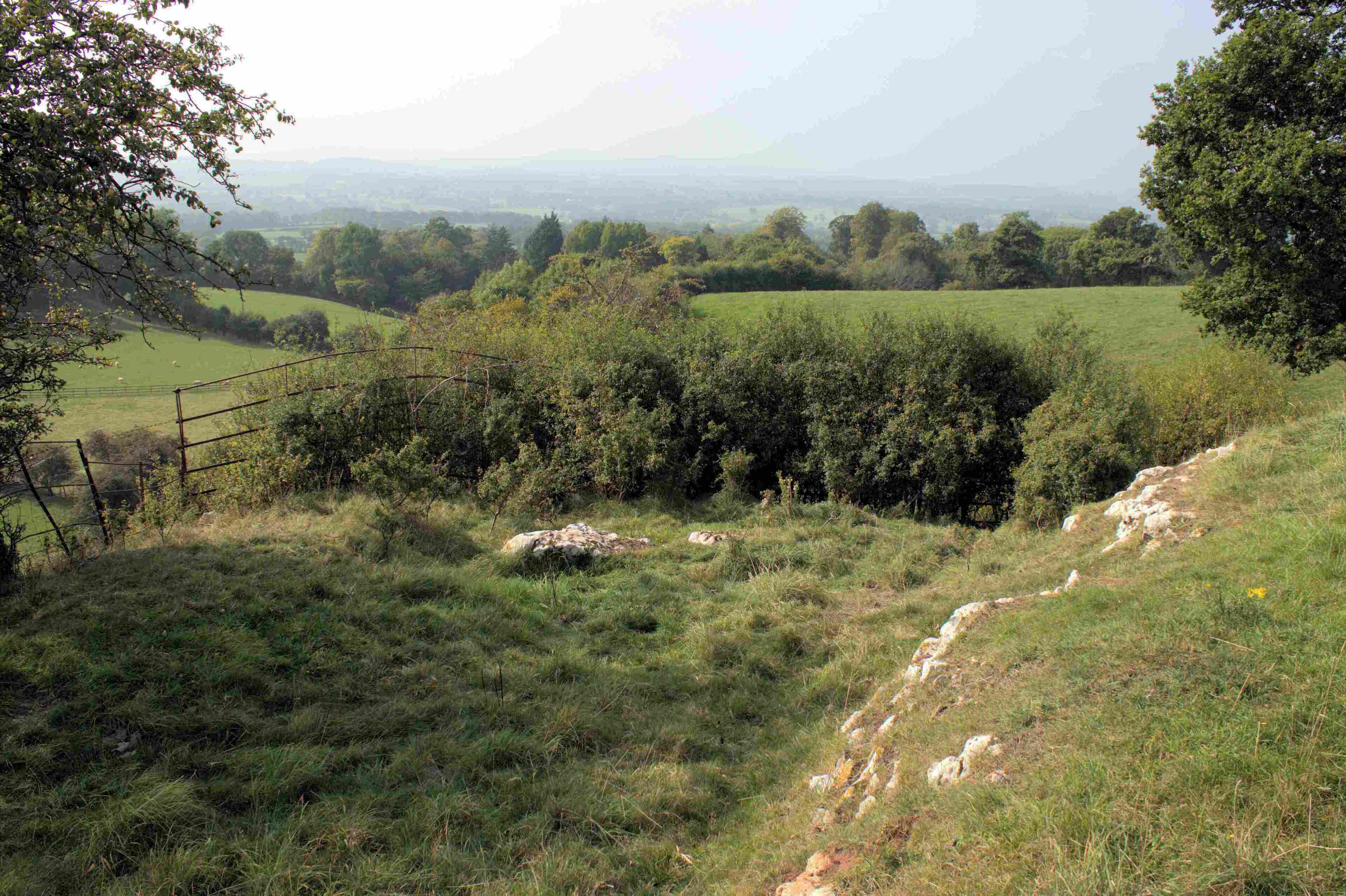 Pasture above Cae Du and Ffynnon Beuno Caves. Grid Reference SJ085085 (308544, 372430) WGS84 Coordinates 53.2407, -3.37057 Nearest Postcode LL17 0UR