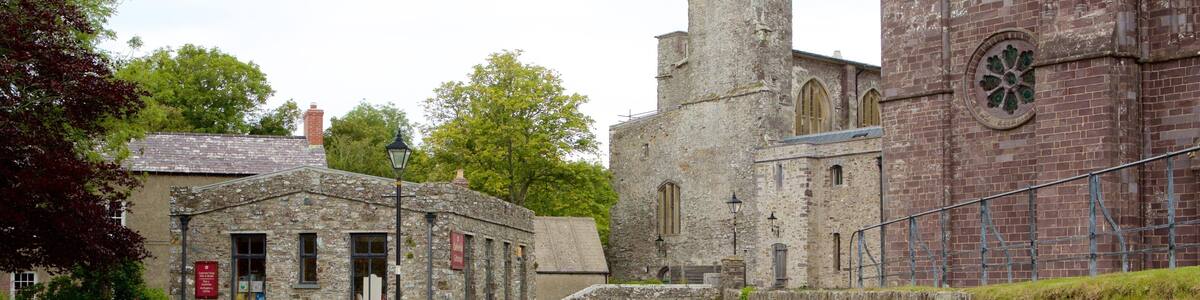 St Davids showing a small town or village and heritage elements