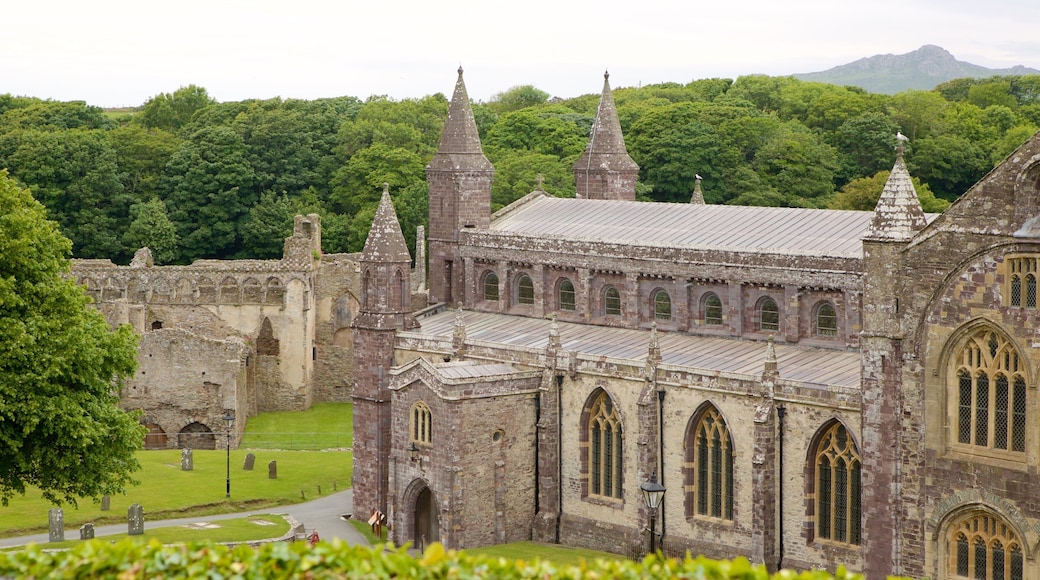 St. Davids som inkluderer kulturarv og kirke eller katedral