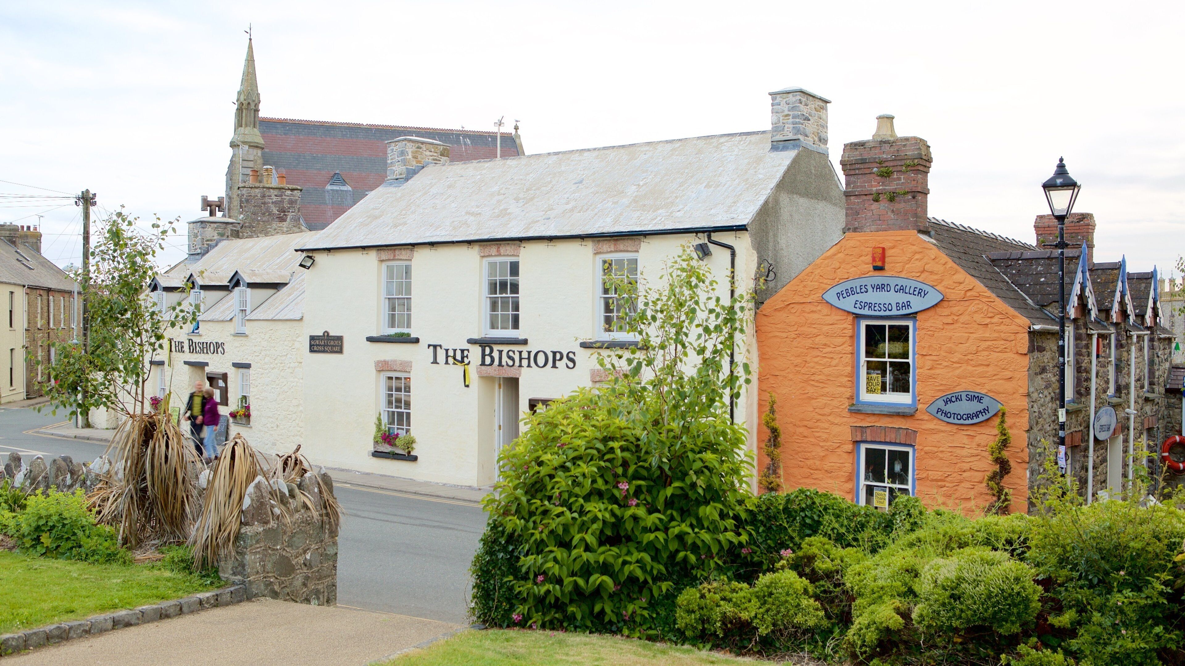 St Davids showing a small town or village and street scenes