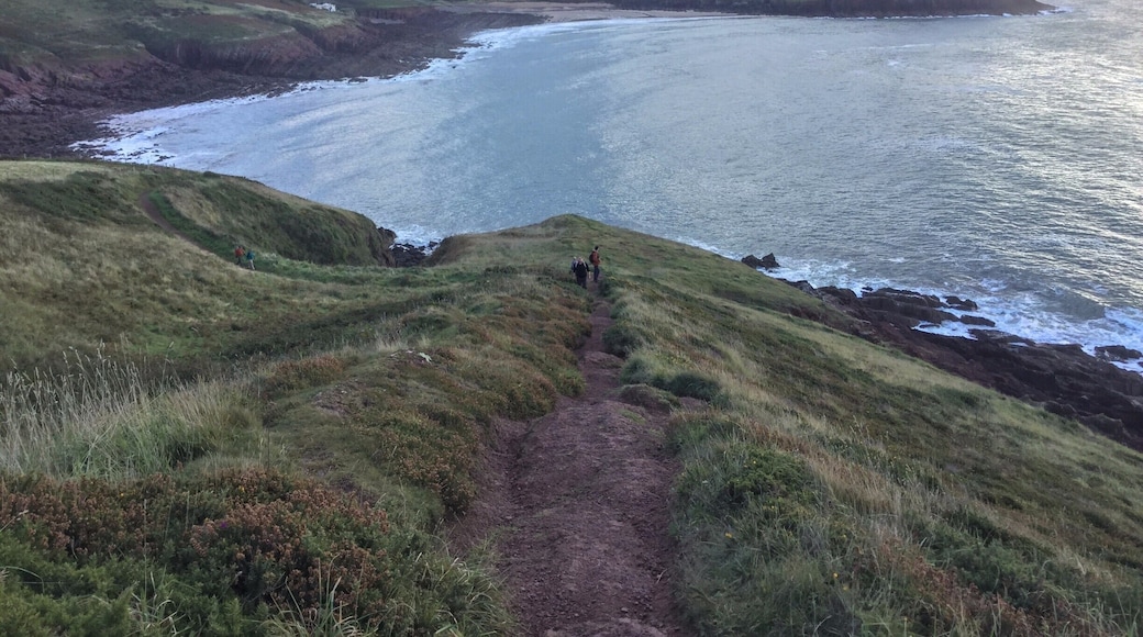 Life begins on the other side of despair.
Jean-Paul Sartre
de·spair
dəˈsper/
noun
- the complete loss or absence of hope.
The absence of hope was the thought I had when I started to walk up the slope in the early morning light. The burning sinew of meat masquerading as muscle screamed evil thoughts into my ears pleading with me to lay down and dream of whipped cream and strawberries, a sauna bath with a thousand points of light massaging out the tired fear, a pint of golden amber with sweet loss of innocence...anything but the pound, pound, pound of sweating flesh as payment for moving my mortal coil upwards against the law of gravity.
Yet, as always, on the other side of despair, life indeed did begin anew.
#hiking