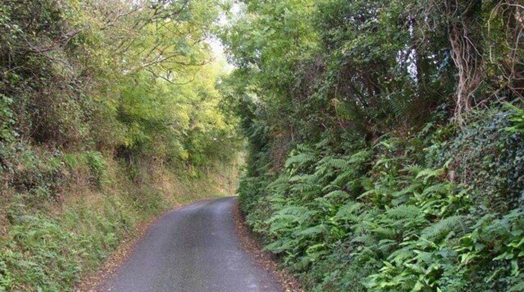 Lane in East Williamston Most of the village is on a lane that loops away from the old main road and back again. This is the narrow part on the north-east side.