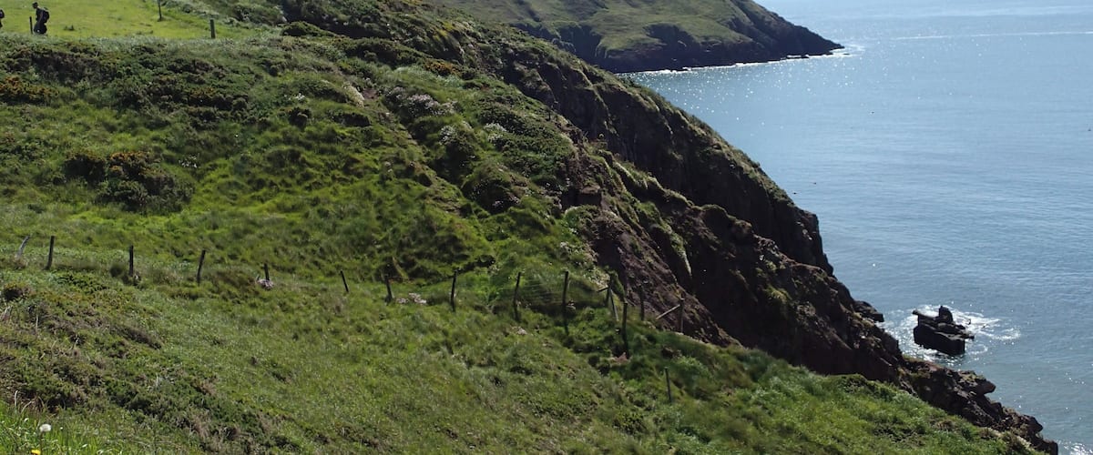 A coastal landscape with a grassy hill and a rocky cliff overlooking the sea.