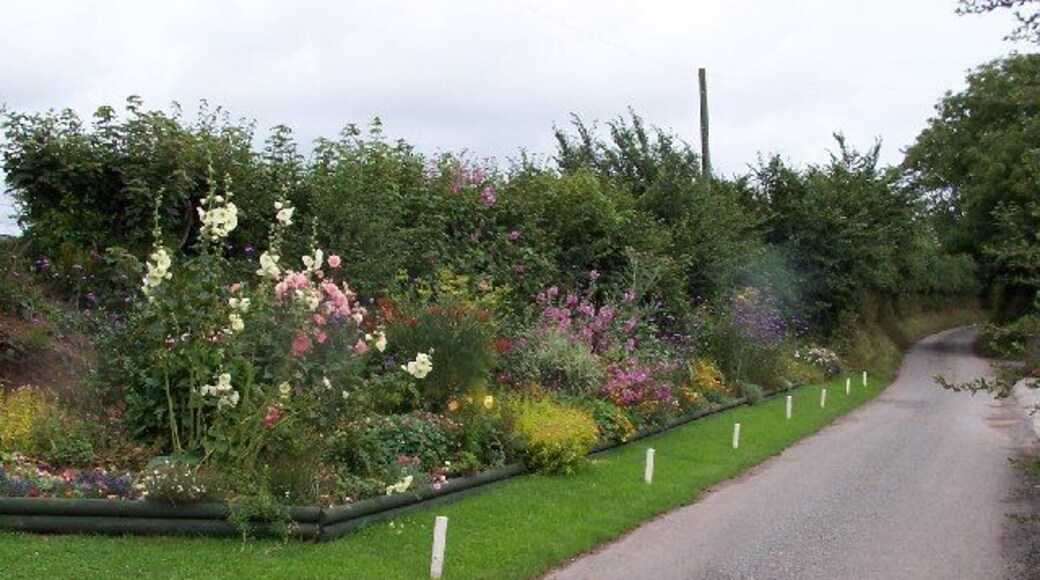 Manorbier Newton. A colourful border at the side of the road on the eastern edge of Manorbier Newton