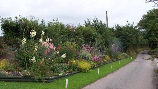 Manorbier Newton. A colourful border at the side of the road on the eastern edge of Manorbier Newton