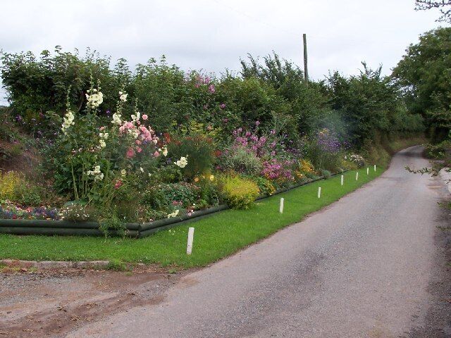 A rural road flanked by lush gardens with various flowering plants.