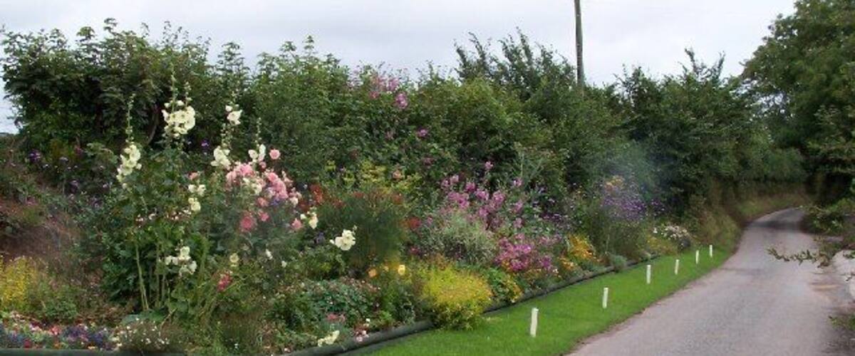 A rural road flanked by lush gardens with various flowering plants.