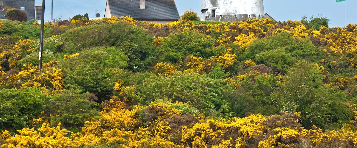A good site for a windmill