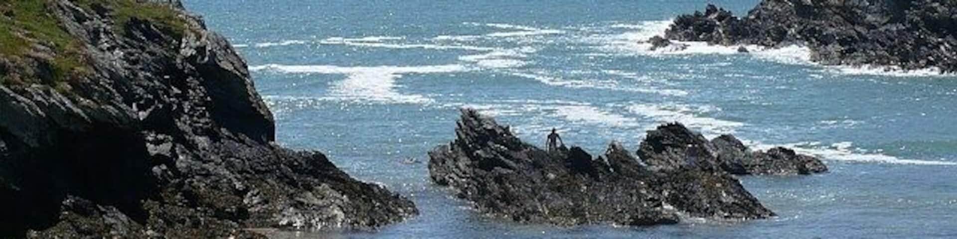A rocky coastline with waves crashing onto the shore, a sandy beach, and seaweed-covered rocks.