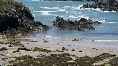 Una costa rocosa con olas rompiendo en la orilla, una playa arenosa y rocas cubiertas de algas.