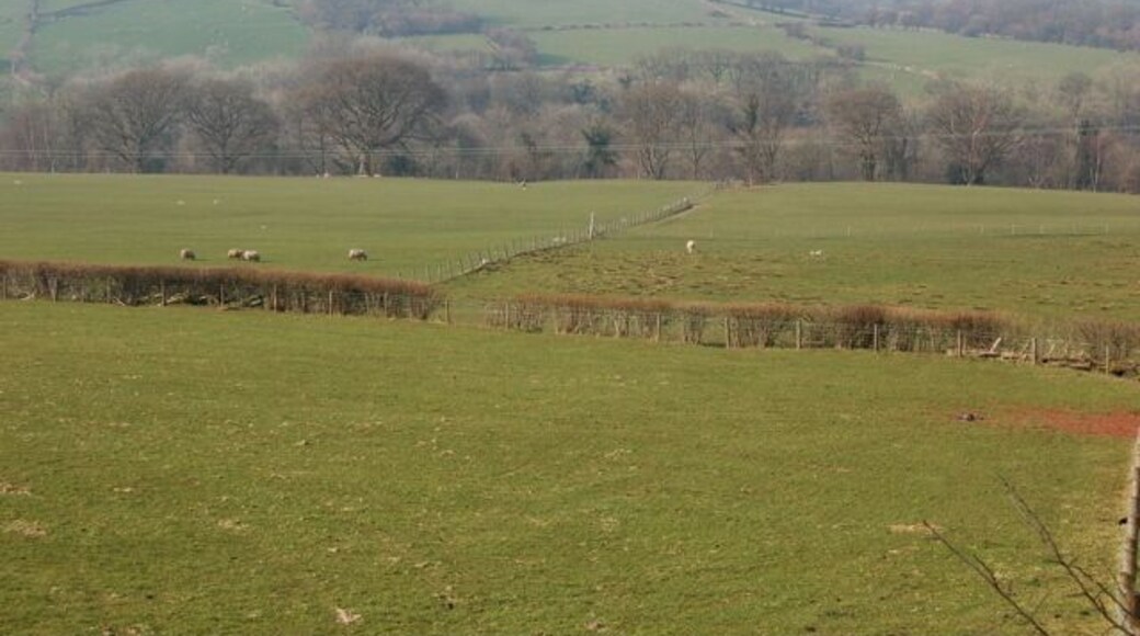 Fields near Pont Wingon