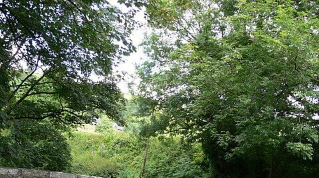Bridge Over Afon Crai Inscription stones on bridge decayed, stone on nearside shows a date of 1814.