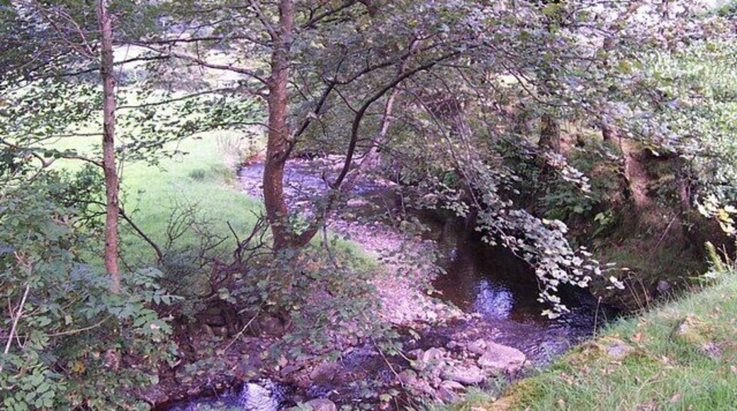 Afon Crafnant near Gelli Lydan. The Afon Crafnant near Gelli Lydan looking Northeast at grid reference SH 77070 62962.
