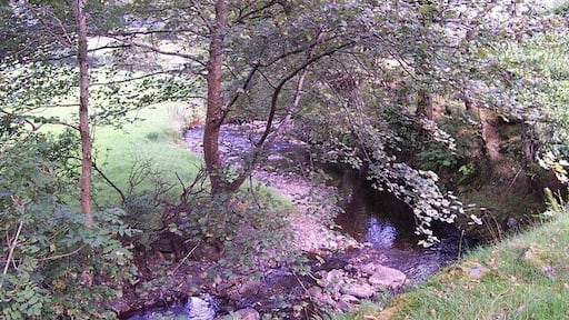 Afon Crafnant near Gelli Lydan. The Afon Crafnant near Gelli Lydan looking Northeast at grid reference SH 77070 62962.