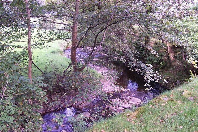 A stream flowing through a wooded area with trees and a small bridge.