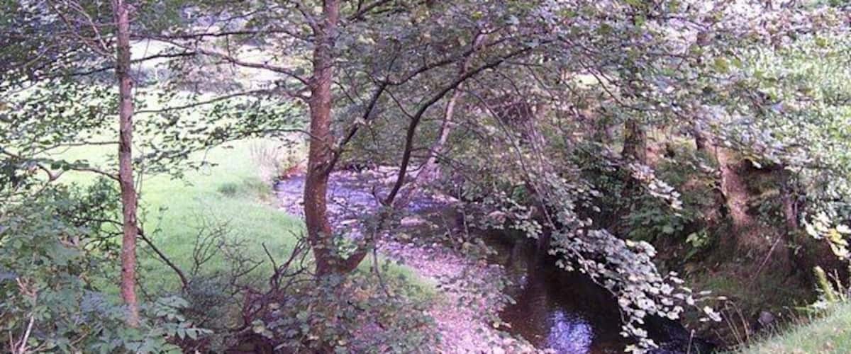 A stream flowing through a wooded area with trees and a small bridge.