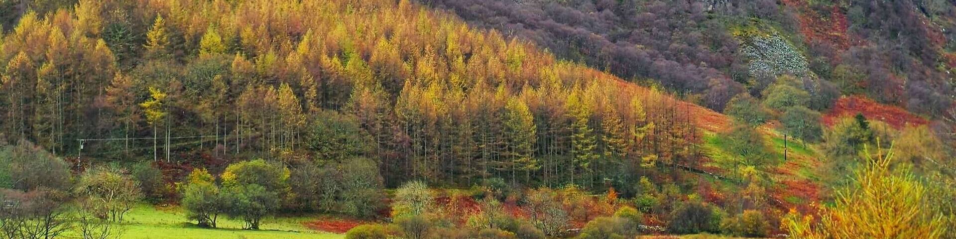 Still lovely colours about today