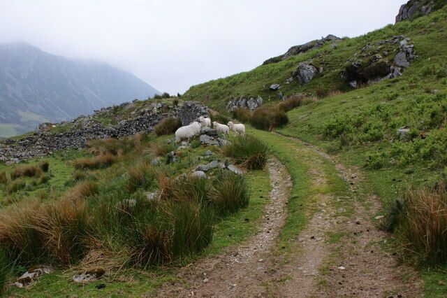 The path at Garreg Wen With a reception committee