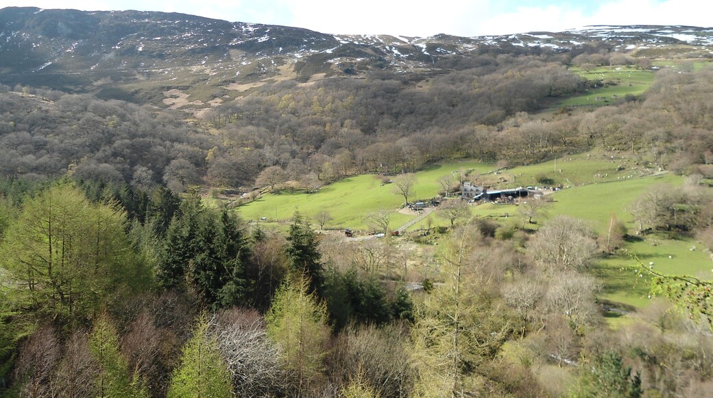 Near Llyn Crafnant