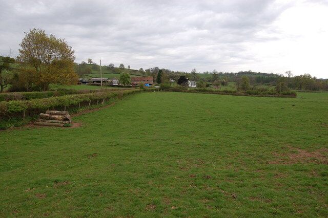 Sheep pasture near Bettws Newydd View looks southwards towards the buildings at Cwm farm.