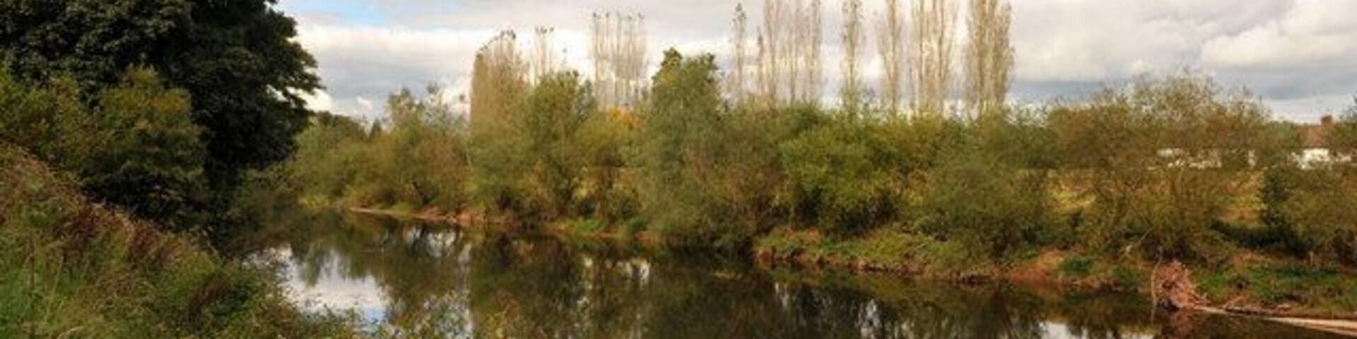A calm river with dense greenery and tall trees, reflecting the sky and clouds.