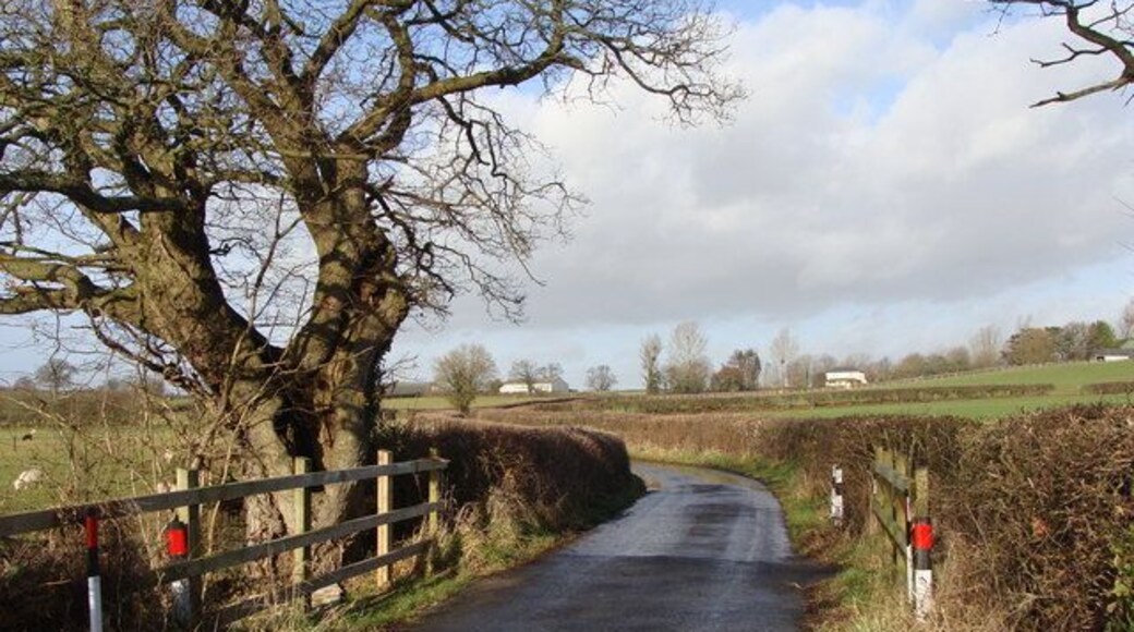 Road Bridge - winter view