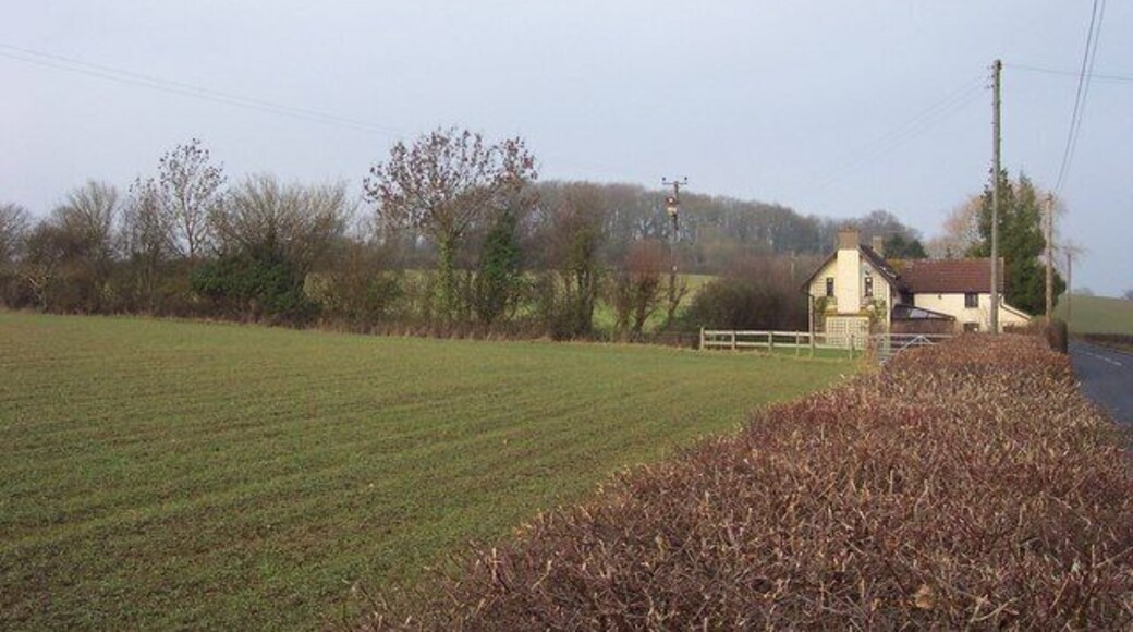 Hill fort topped with trees