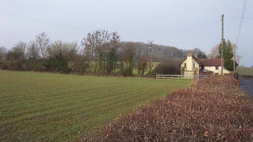 Hill fort topped with trees