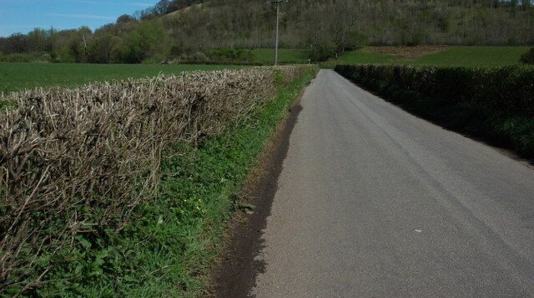 Road at Newbridge on Usk Hidden by trees, the busy A449 dual carriage passes below the wooded hill in the background.