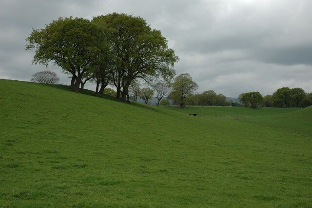 Grazing land in the Usk valley Grazing land near Cefn mawr Farm in the Usk valley.