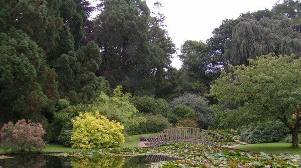 Cefntilla court garden