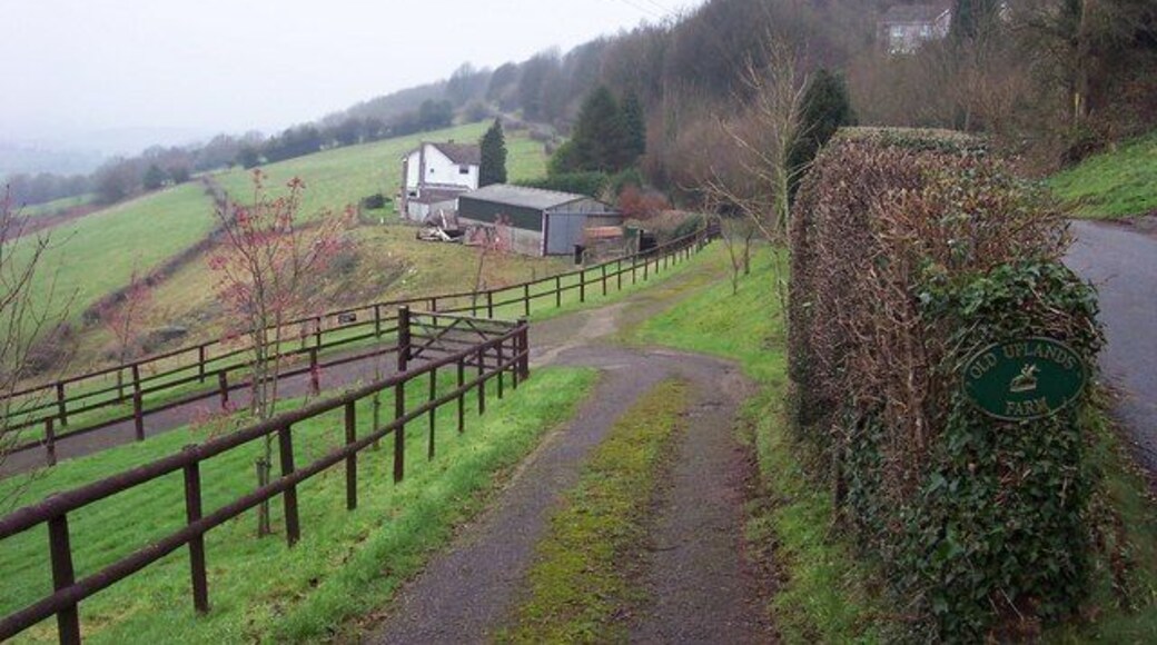 Aptly named Uplands Farm