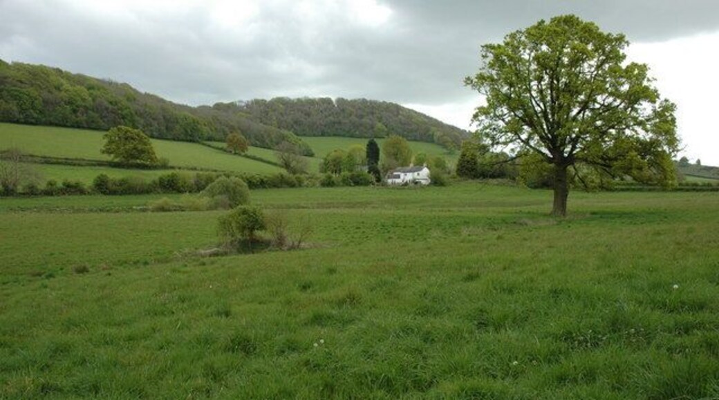 Grazing land near Bettws Newydd Grazing land near Bettws Newydd viewed from the Usk Valley Walk.