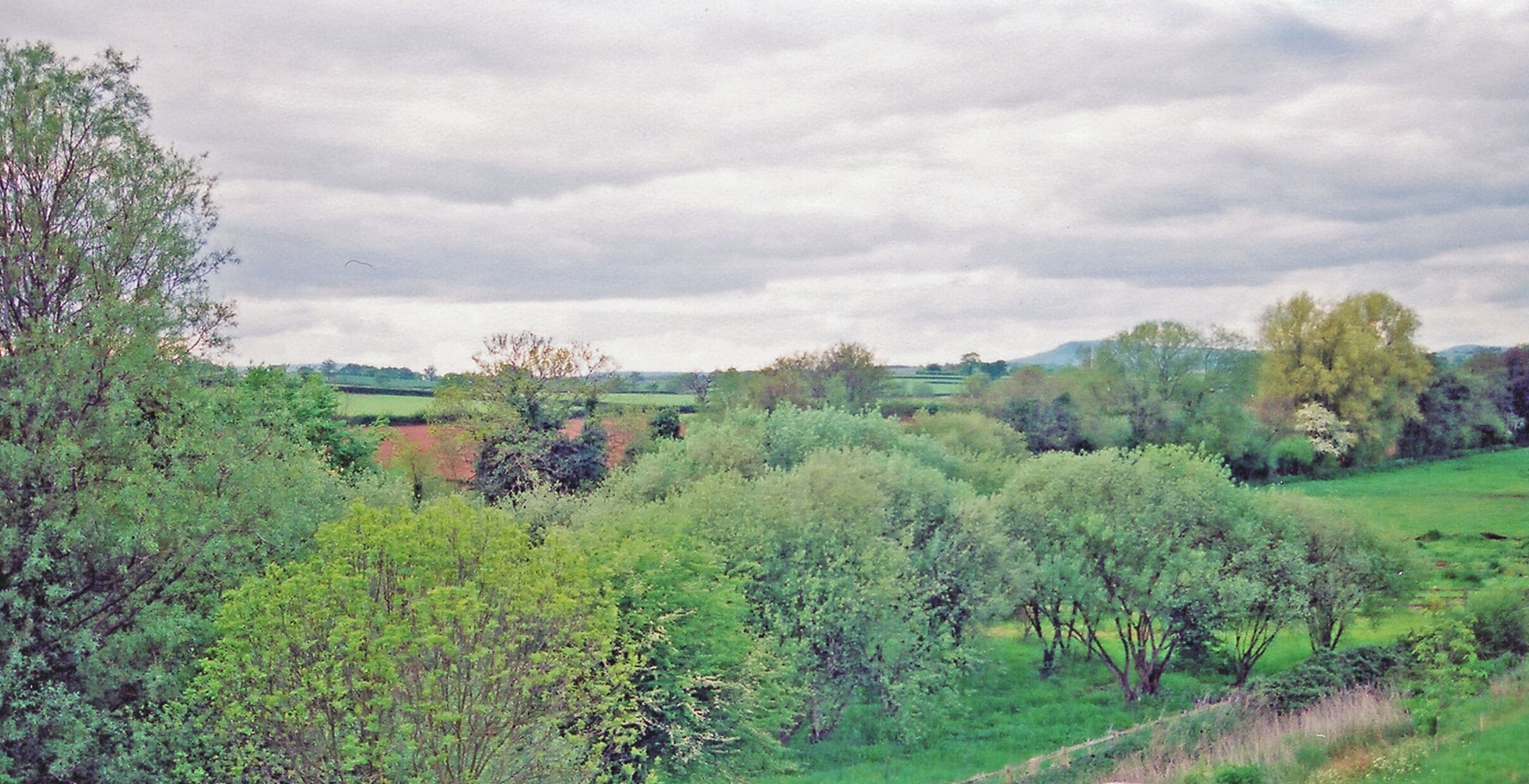 Site of former Llandenny station. View NW from a road bridge over the A449, across the trackbed of the ex-GWR Monmouth - Pontypool Road branch at the site of Llandenny station. The line and station closed 30/5/55. This is a sample of lovely Monmouthshire countryside; the hill in the middle distance is Trostrey (635 ft.).
