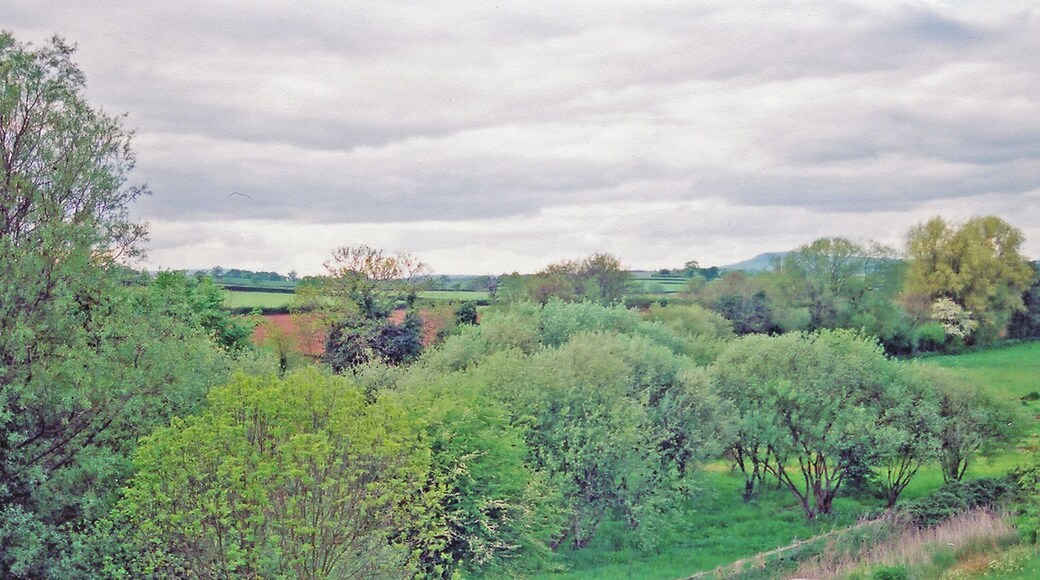 Site of former Llandenny station. View NW from a road bridge over the A449, across the trackbed of the ex-GWR Monmouth - Pontypool Road branch at the site of Llandenny station. The line and station closed 30/5/55. This is a sample of lovely Monmouthshire countryside; the hill in the middle distance is Trostrey (635 ft.).